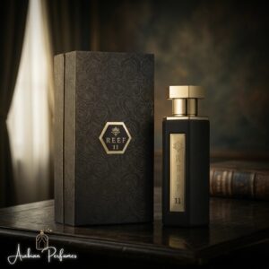 ريف 11
